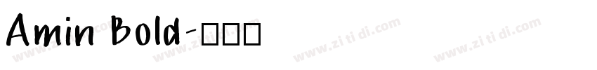 Amin Bold字体转换